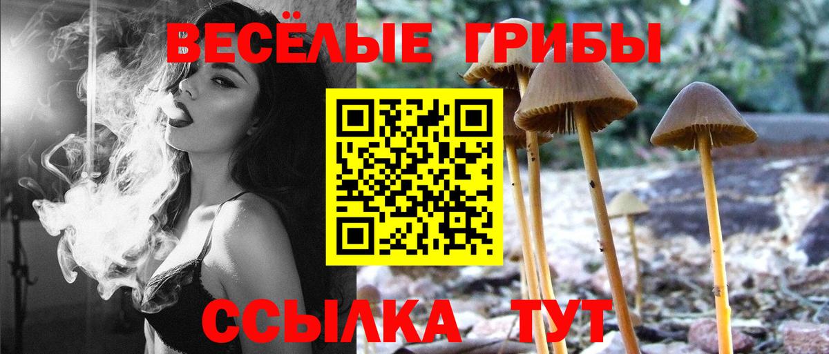 Псилоцибиновые грибы GOLDEN TEACHER Химки